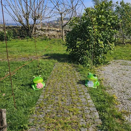 Quinta Luar De Pedra